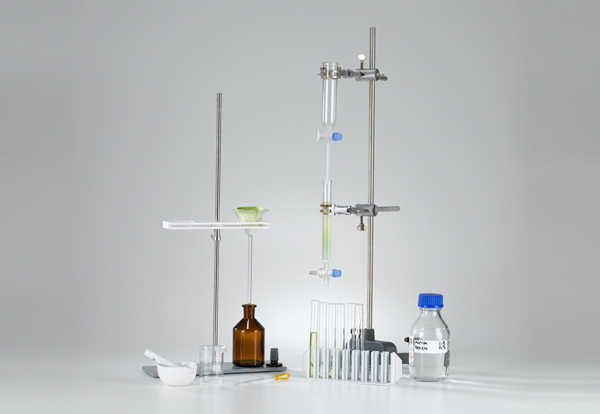 Separation of a leaf extract with column chromatography